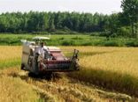 جذب بیش از ۳۷ میلیاردی تسهیلات بانکی توسعه مکانیزاسیون کشاورزی در شفت