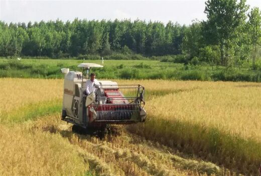 جذب بیش از ۳۷ میلیاردی تسهیلات بانکی توسعه مکانیزاسیون کشاورزی در شفت