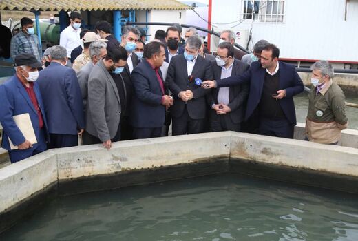 وزیر جهادکشاورزی از پروژه پرورش ماهیان خاویاری در بندر گز بازدید کرد