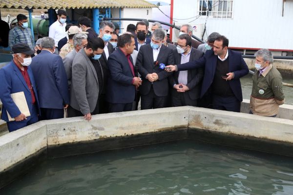 وزیر جهادکشاورزی از پروژه پرورش ماهیان خاویاری در بندر گز بازدید کرد