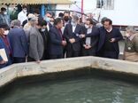 وزیر جهادکشاورزی از پروژه پرورش ماهیان خاویاری در بندر گز بازدید کرد