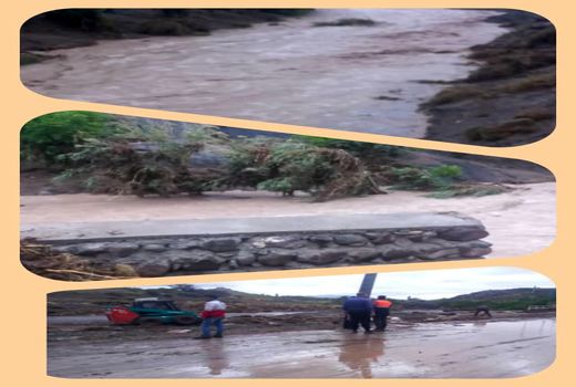 سیلاب قریب به 1166 میلیارد ریال خسارت به بخش کشاورزی و دامپروری شهرستان بردسیر وارد کرد