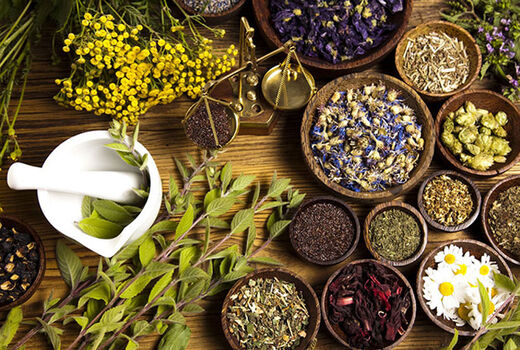 درآمدزایی از گیاهان دارویی مرتعی در قالب طرحی اقتصادی