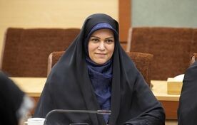 جشنوار ملی انگور بستری برای توسعه گردشگری کشاورزی در ملکان و لیلان است