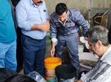 توزیع ۶۰ هزار بچه‌ماهی کپور برای تقویت تولید در قاینات