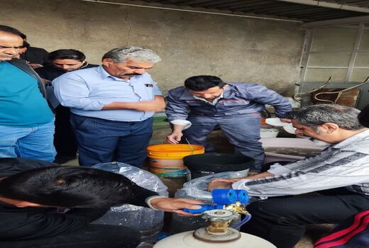 توزیع ۶۰ هزار بچه‌ماهی کپور برای تقویت تولید در قاینات