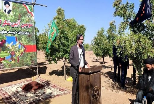 جشن شکرگزاری برداشت عناب در خراسان جنوبی