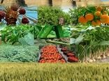 صادرات ۹۹۵ هزار تنی محصولات کشاورزی