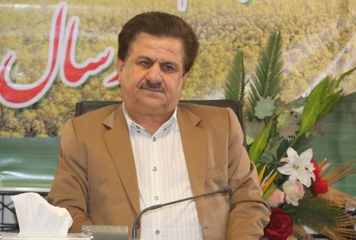 کشت کلزا کاری بی‌نظیر از نظر کمی و کیفی در استان خوزستان