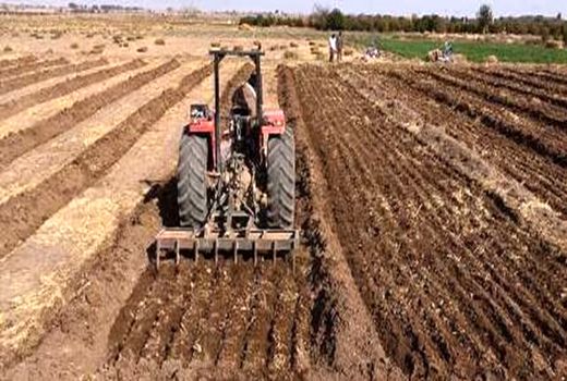 کشاورزان فرصت کشت زمستانه را از دست ندهند 
