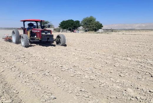 آغاز کاشت چغندر قند در قیروکارزین 