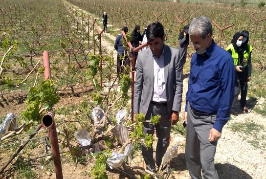 تحول بنیادین با نظام آموزش و ترویج کشاورزی انجام م‌یشود