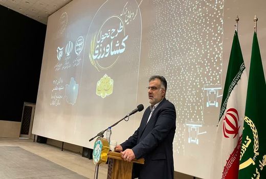 فراهمی، دسترسی و استمرار تولید، شالوده امنیت غذایی است