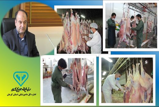 حضور دامپزشکان در کشتارگاه، تضمین کننده سلامت جامعه