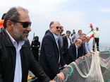 بهره‌برداری پایدار از ظرفیت آبزی‌پروری خزر/ پرورش ماهی آزاد در قفس‌های دریایی توسعه می‌یابد