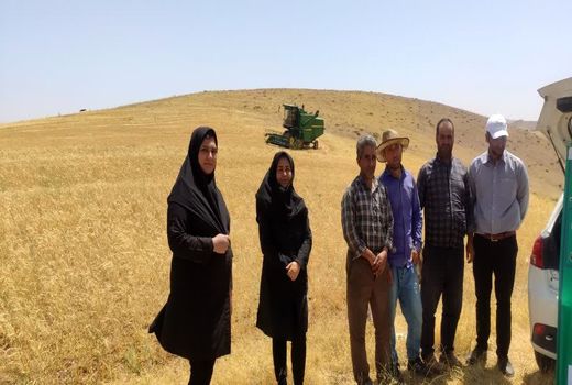 برگزاری کلاس آموزشی ترویجی تنظیم کمباین همزمان با آغاز برداشت گندم در بستان‌آباد