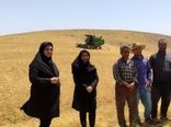 برگزاری کلاس آموزشی ترویجی تنظیم کمباین همزمان با آغاز برداشت گندم در بستانآباد