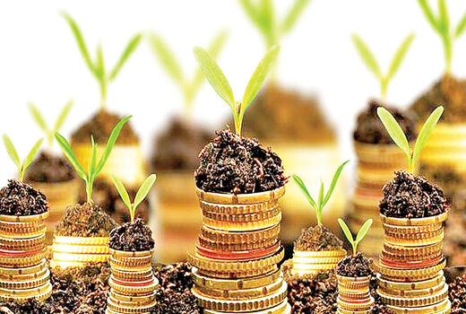شفاف‌سازی فرایندها اولویت صندوق بیمه کشاورزی است