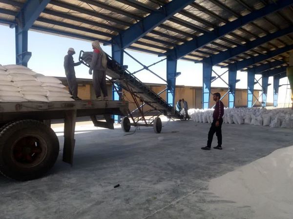 توزیع بیش از ۲۰۰۰ تن کود سولفات پتاسیم در استان چهارمحال و بختیاری