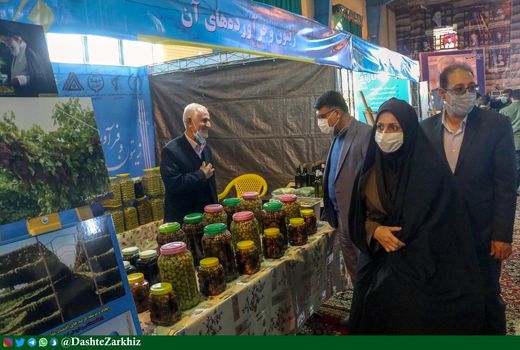 نمایشگاه توانمندی‌های تعاونی‌های اشتغالزای روستایی استان قزوین برگزار شد