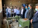 توزیع 46 هزار جعبه تخم نوغان در کشور 