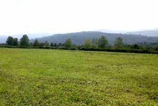 واگذاری ۱۷۸ هکتار زمین ملی استان به طرح های مصوب 