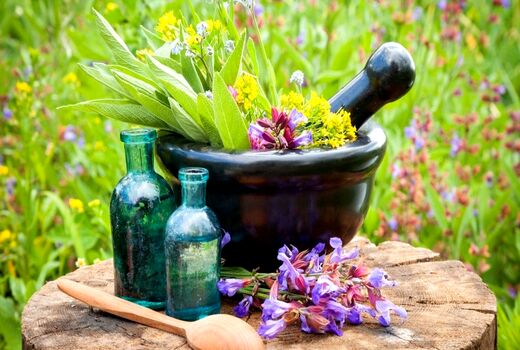 3 نرم افزار  بازار مجازی در زمینه گیاهان دارویی رونمایی می‌شود؛ هفته آینده 