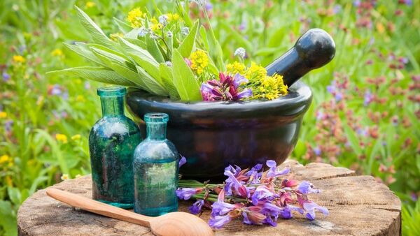 3 نرم افزار  بازار مجازی در زمینه گیاهان دارویی رونمایی می‌شود؛ هفته آینده 