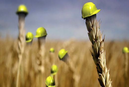 پاسداشت چهل و یکمین سالگرد تأسیس صندوق بیمه کشاورزی در برنامه رویش شبکه آموزش