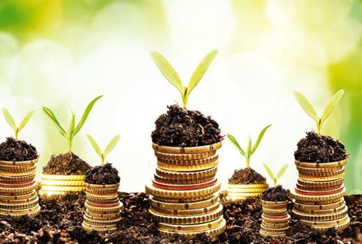 پرداخت بیش از ۳۲۰ میلیارد ریال تسهیلات در سال گذشته به سهامداران صندوق حمایت از توسعه بخش کشاورزی استان ایلام