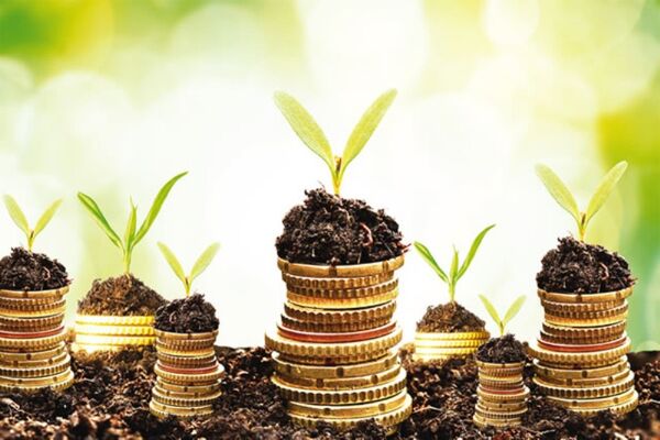 پرداخت بیش از ۳۲۰ میلیارد ریال تسهیلات در سال گذشته به سهامداران صندوق حمایت از توسعه بخش کشاورزی استان ایلام