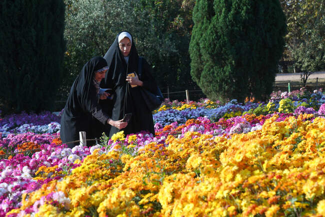 بازدید تور رسانه ای از باغ ملی گیاه شناسی ایران                   