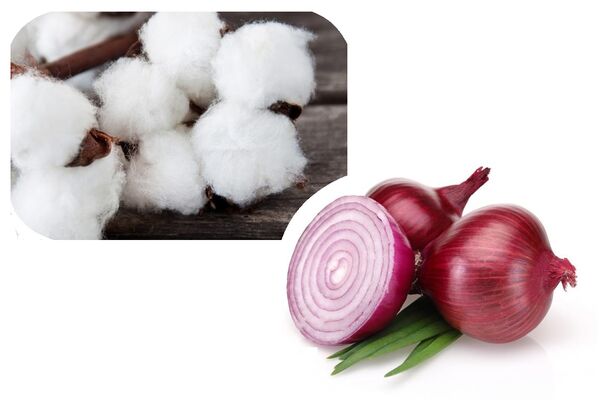 خرید تضمینی، حمایتی یا توافقی؛ آیا زمان بازنگری در خریدهای تضمینی فرا رسیده است؟