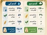  بذر استاندارد گندم استان قزوین