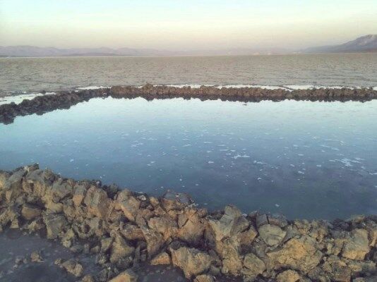انتقال آب کشاورزی برای نجات فلامینگوهای بختگان