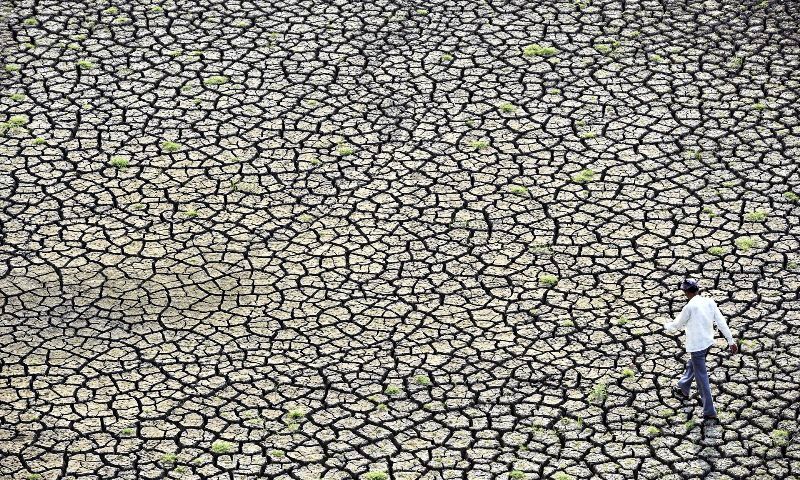گرمایش زمین، کشورهای حاشیه خلیج فارس را غیرمسکونی می‌کند/ اگر همه سوخت‌های فسیلی مصرف شوند، جهان تا 10 درجه گرم‌تر می‌شود