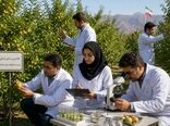 حافظان سنگر باغبانی ایران