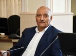 هزینه بیمه تمام خطر فراگیر گندم بر عهده دولت است/ احتمال نیاز به واردات بالغ بر ۳/۵ میلیون تن گندم