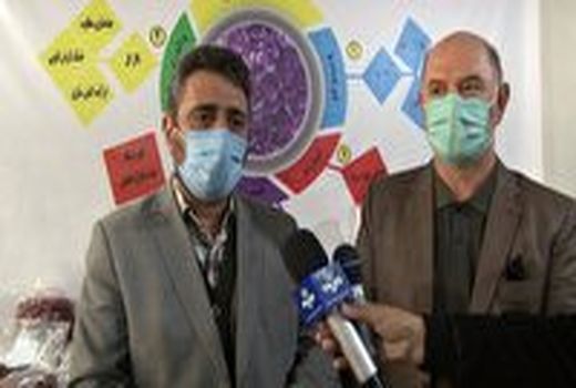 استان اصفهان رتبه چهارم تولید زعفران در کشور