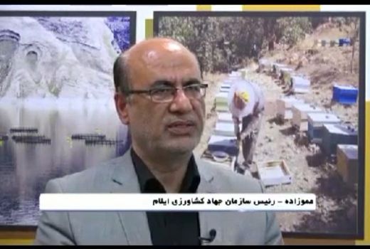 ۱۴۰۰ تن عسل در استان ایلام تولید شد