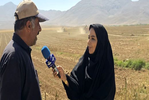 برداشت چغندر قند از مزارع چهارمحال و بختیاری