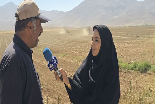 برداشت چغندر قند از مزارع چهارمحال و بختیاری