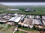 عکس روز:دامداری صنعتی