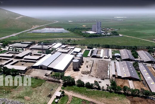 عکس روز:دامداری صنعتی
