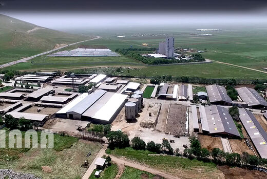 عکس روز:دامداری صنعتی
