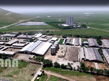 عکس روز:دامداری صنعتی