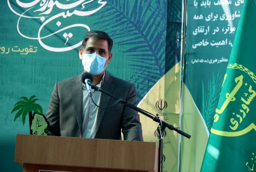 ثبت ملی 10 رقم اصلی و معرفی 8 رقم امیدبخش خرما