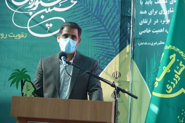 ثبت ملی 10 رقم اصلی و معرفی 8 رقم امیدبخش خرما