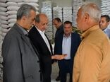آذرشهر؛ پایتخت بی‌رقیب تولید لپه کشور و قطب فرآوری حبوبات خاورمیانه