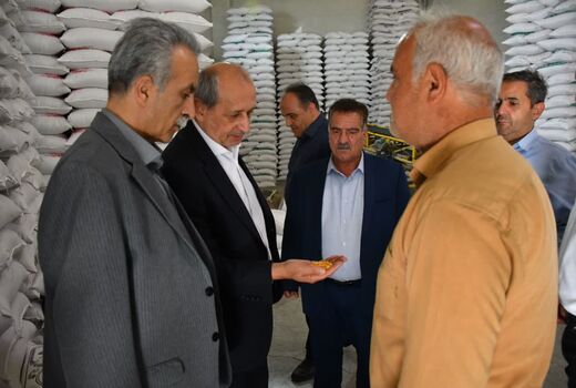 آذرشهر؛ پایتخت بی‌رقیب تولید لپه کشور و قطب فرآوری حبوبات خاورمیانه